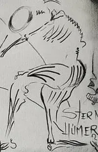 Un caballo descarnado, junto al esternón. Detalle de los estudios de anatomía de José Luis Acera Díaz, 1979