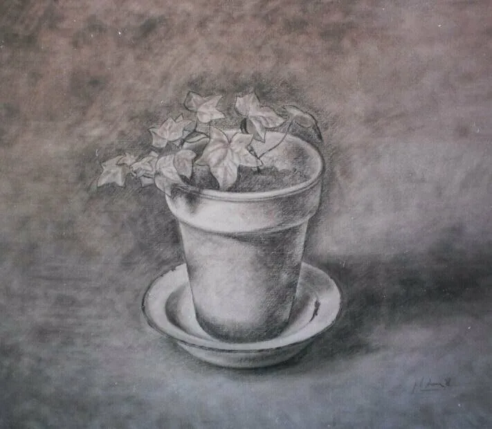 La hiedra, dibujo