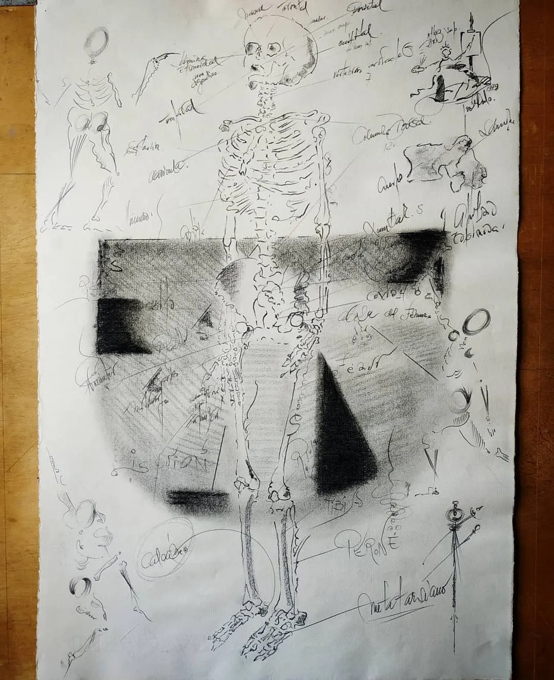 Estudio de anatomía, huesos, hoja II: la pirámide. Dibujo de José Luis Acera Díaz, 1979