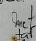 «Tarso y metatarso» escrito a mano en la hoja III de los estudios de anatomía