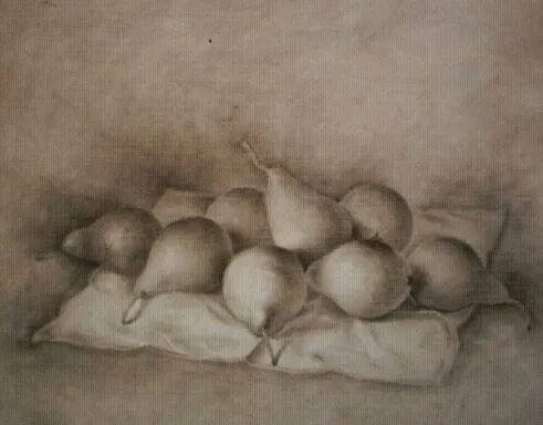 Peras conferencia, dibujo